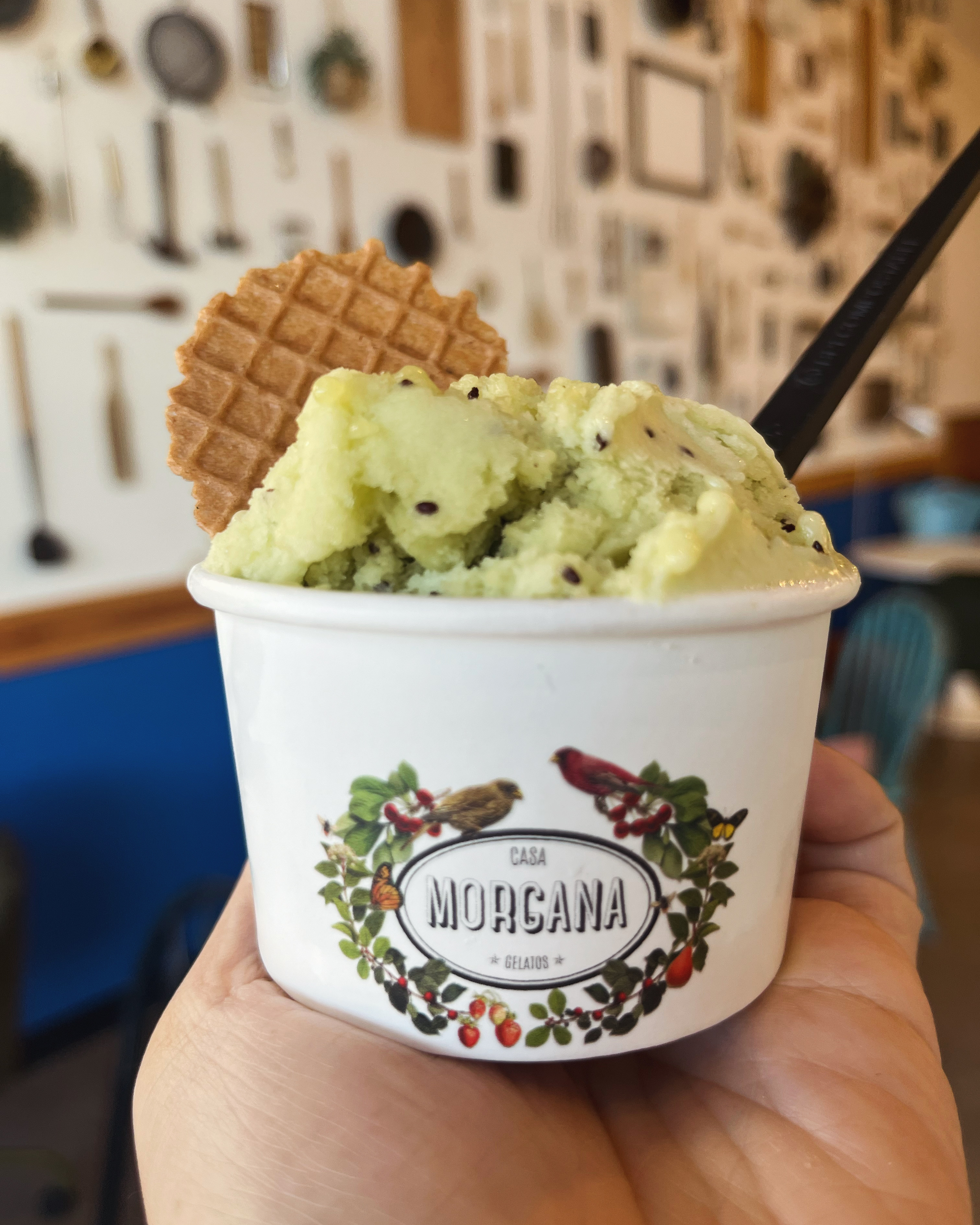 Casa Morgana fresh kiwi sorbet