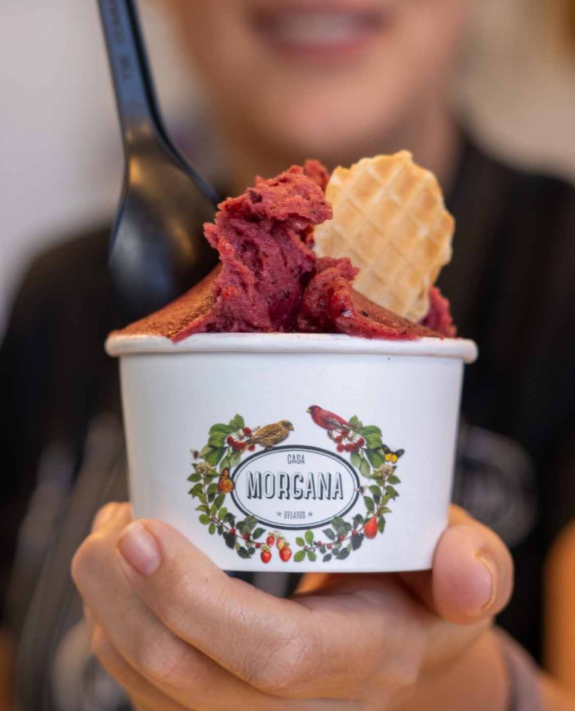 Casa Morgana berry sorbet weekly special
